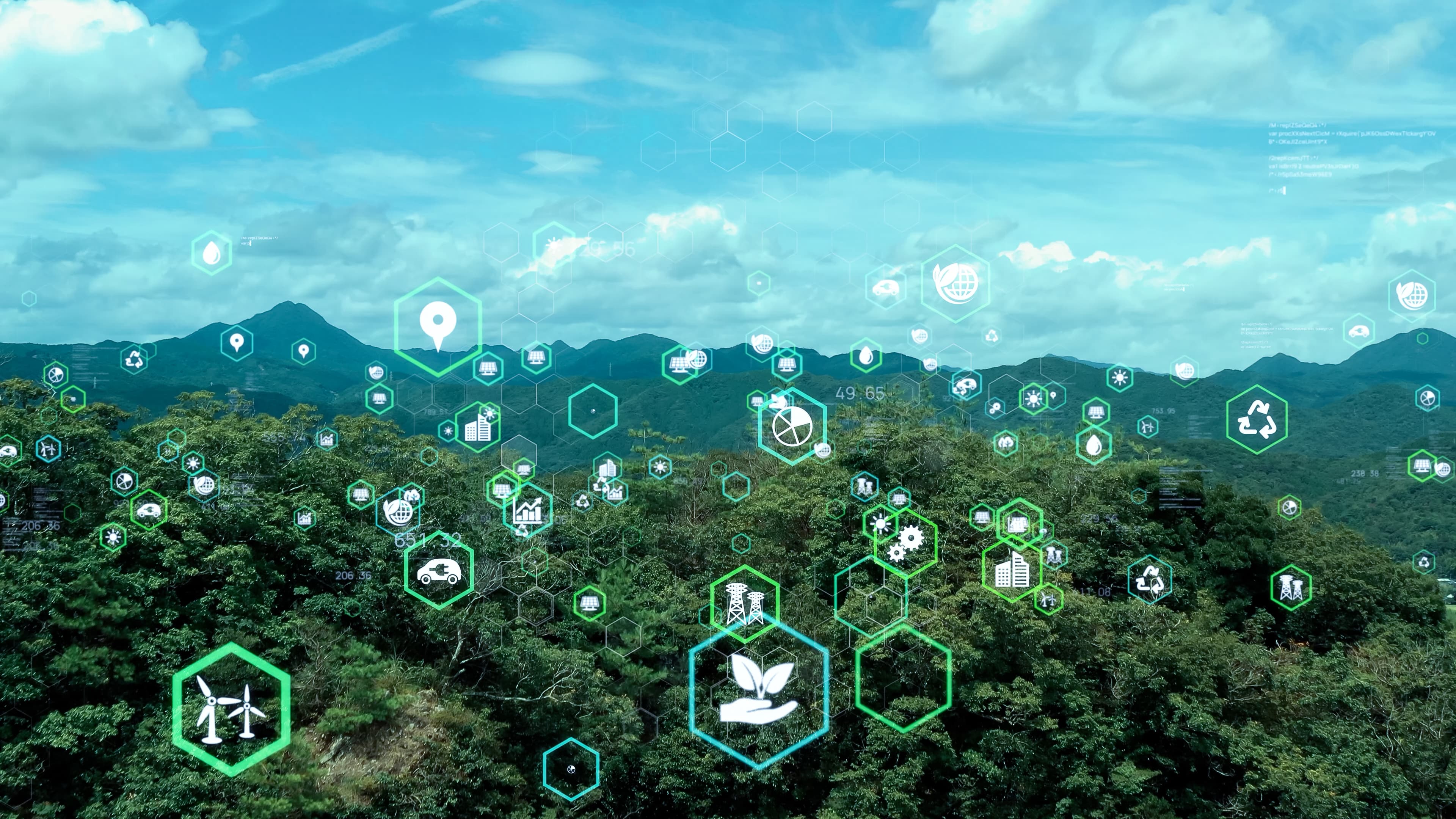 Smart forest management technology and AI solutions
